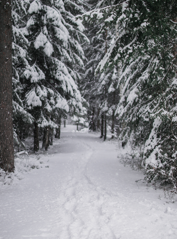 1K_winter-02_yggoglyng