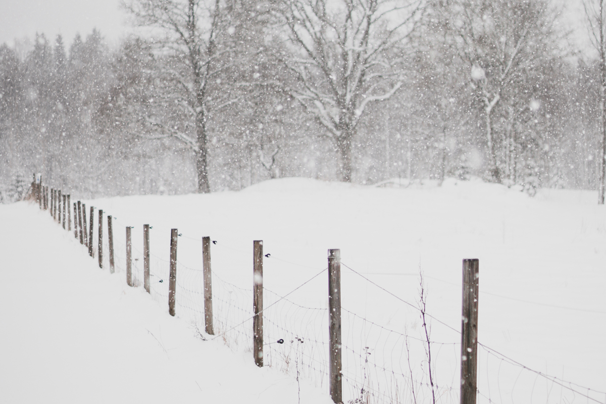 2K_winter-01_yggoglyng