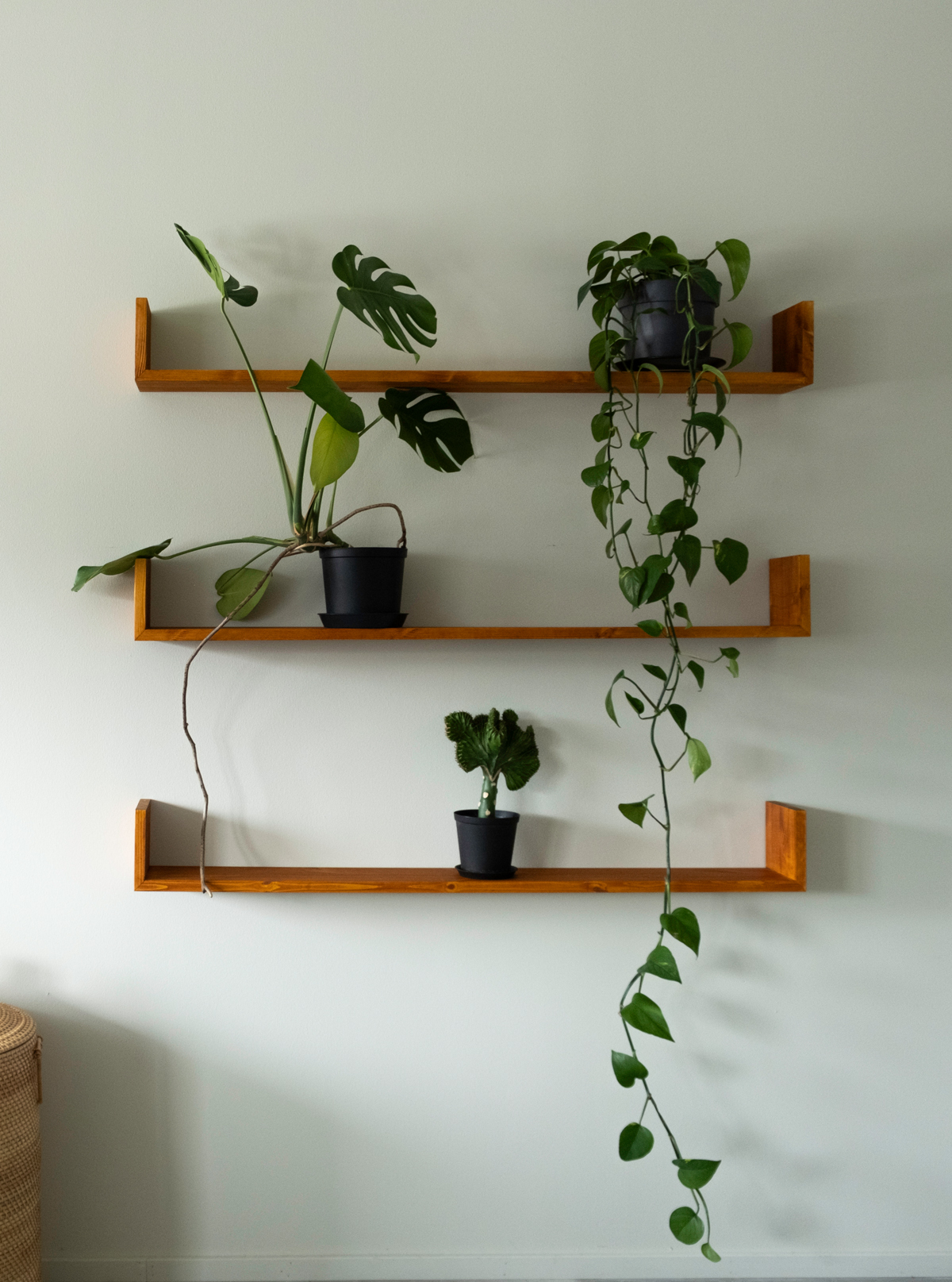 2H2K_Gren_Wall_shelf_pine_natural_32_yggoglyng 2H2K_Gren_Wall_shelf_pine_natural_32_yggoglyng